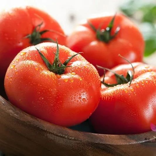尖头西红柿用了激素？未成熟的有毒？有一种最好别买