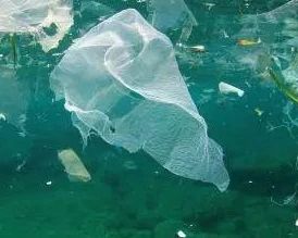 研究预测：20年后，全球每米海岸线将有50公斤塑料垃圾