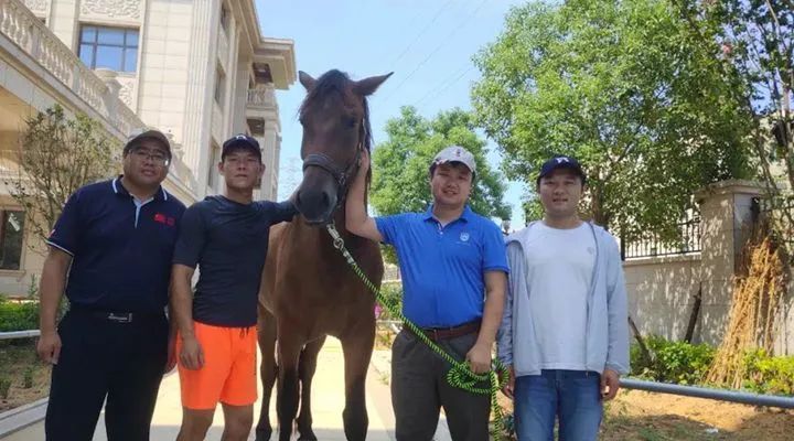 太好了！福建晋江下海救人的第三匹马将军已经痊愈