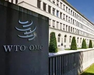 WTO新掌门人几无悬念 首位来自非洲女总干事撞线在即