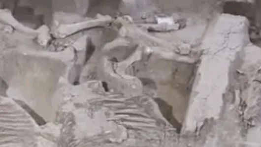 视频曝光！陕西历时3年成功修复2800年前的青铜豪车