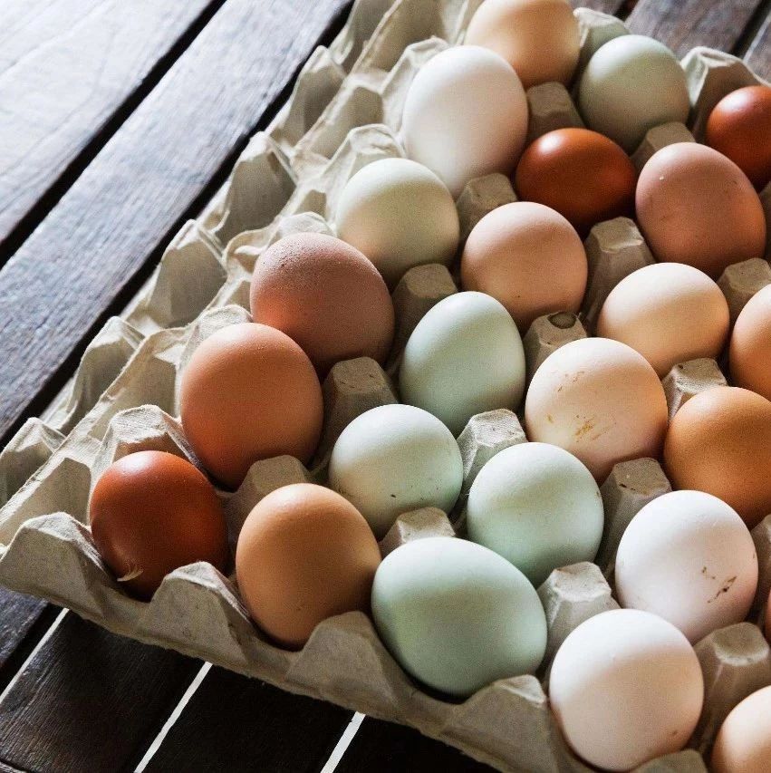 都是母鸡生的，为什么鸡蛋有红皮白皮绿皮之分？