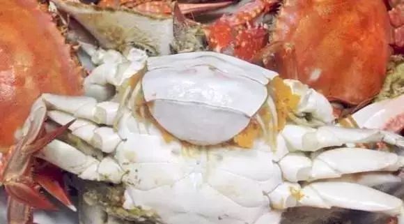 螃蟹肚子要朝上，蛤蜊不能加水煮秋季吃海鲜禁忌，卖海鲜的人不会告诉你！