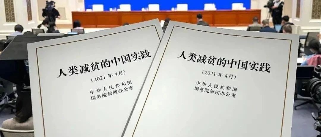 今天，中国发布一份重要白皮书