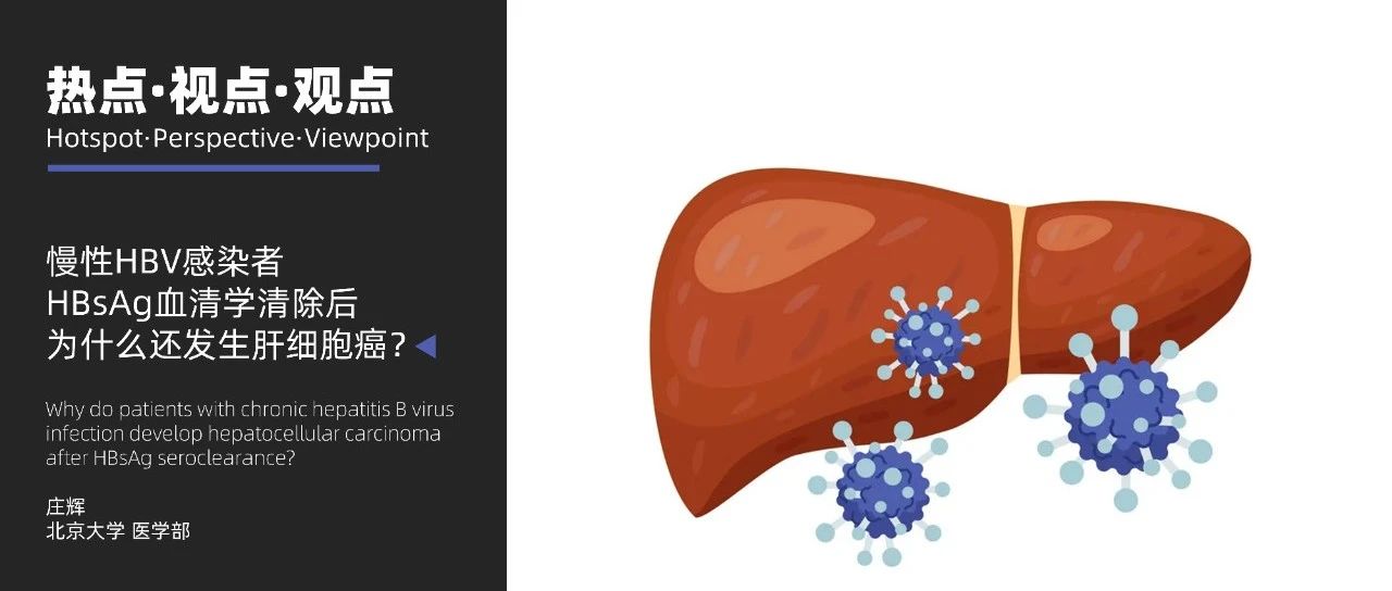 热点·视点·观点｜庄辉：慢性HBV感染者HBsAg血清学清除后为什么还发生肝细胞癌？