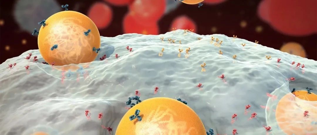 科学重磅：无需抽血，注射mRNA体内直接生成CAR-T细胞，一针修复心脏！