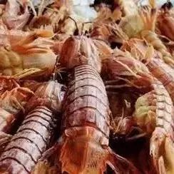 螃蟹肚子要朝上，蛤蜊不能加水煮秋季吃海鲜的禁忌，卖海鲜的人不会告诉你