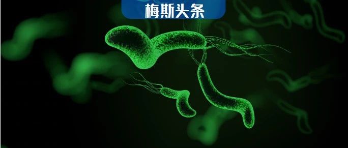 柳叶刀子刊：学历越高，感染越多！中国是时候根除幽门螺杆菌了